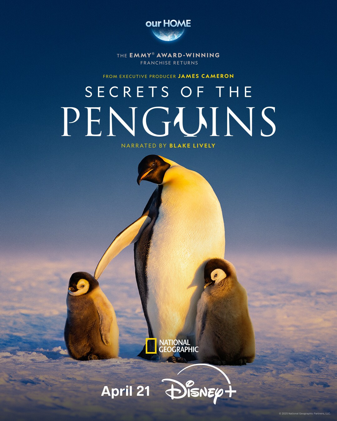 Stream Secrets of the Penguins on Disney+ Australia & New Zealand.