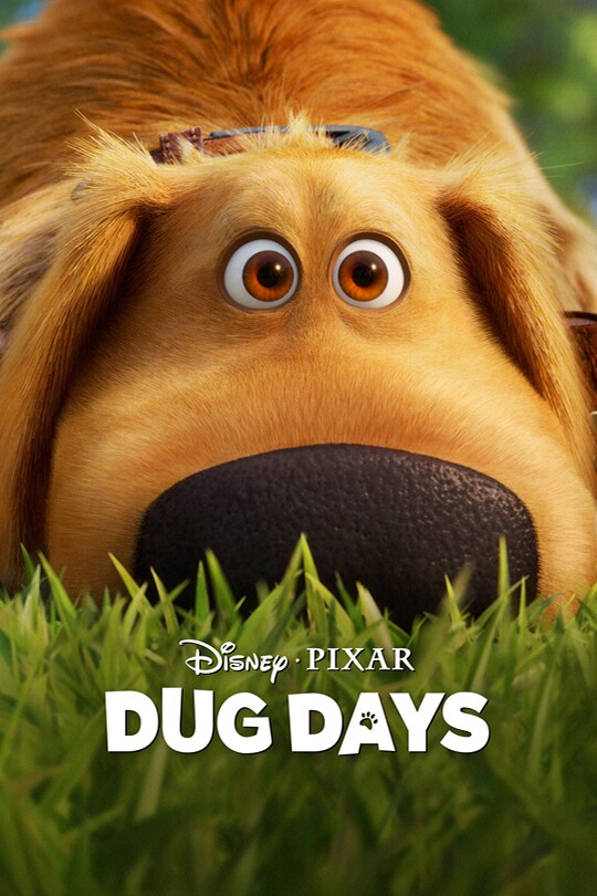 Dug Days poster