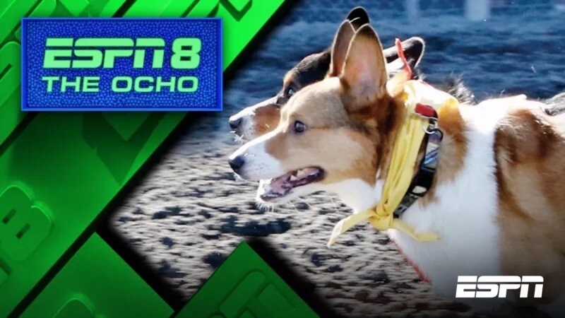 The Ocho: Unique Sports | Trending on ESPN on Disney+