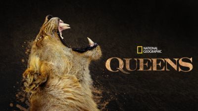 A thumbnail image for National Geographic's Queens on Disney+.