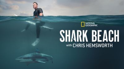 A thumbnail image for National Geographic's Shark Beach with Chris Hemsworth on Disney+.