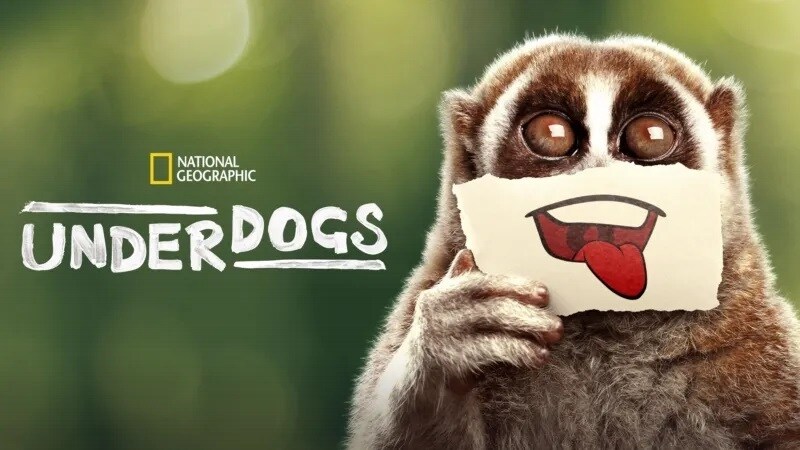 A thumbnail image for Underdogs, now streaming on Disney+
