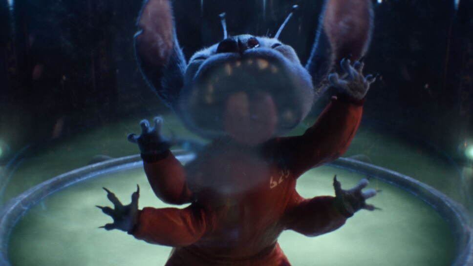 Stitch in Disney’s live-action LILO & STITCH. Photo courtesy of Disney. © 2025 Disney Enterprises Inc. All Rights Reserved.