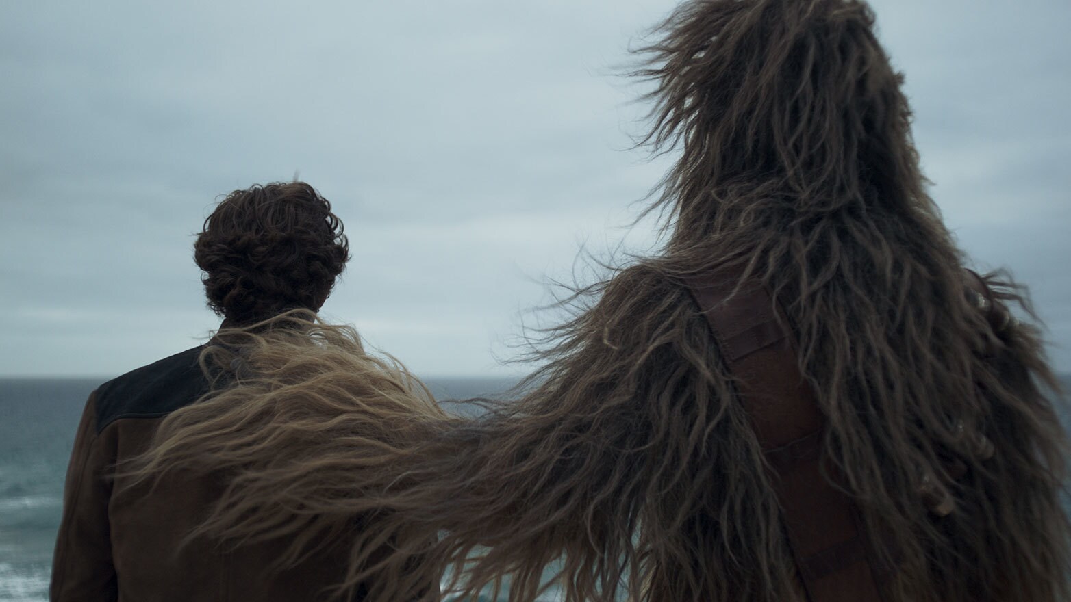 Solo and Chewie