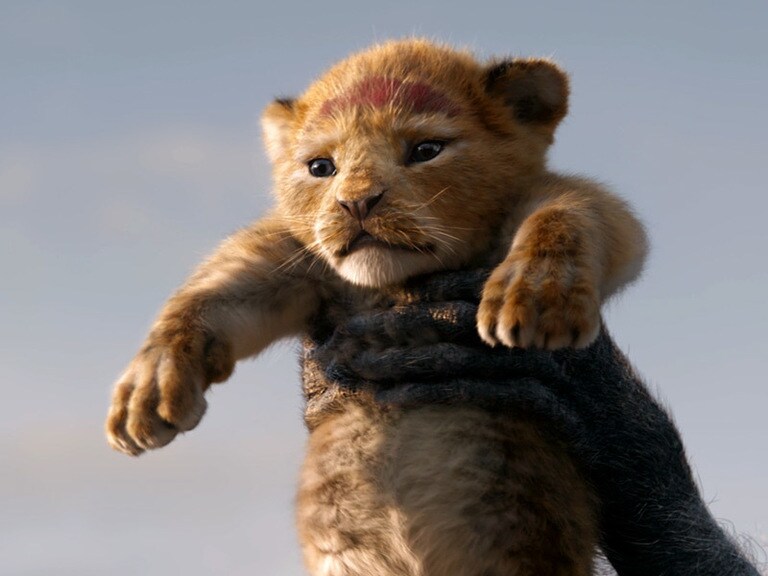 The Lion King 2019 Streaming now on Disney