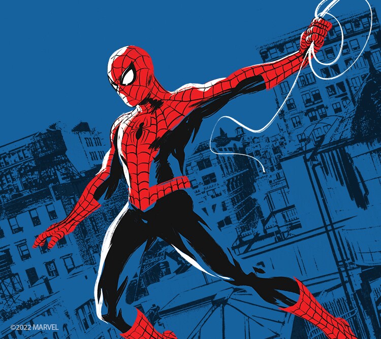 Spiderman Stan Lee