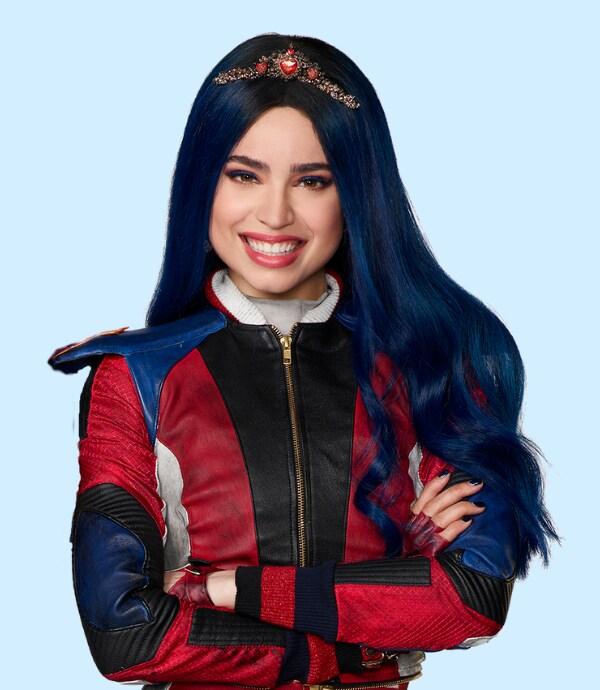 descendants toys big w