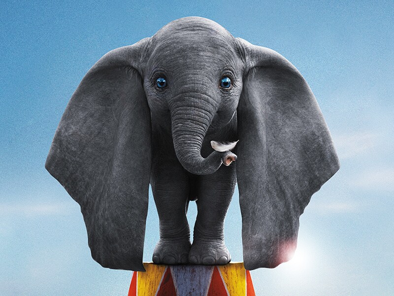 new dumbo