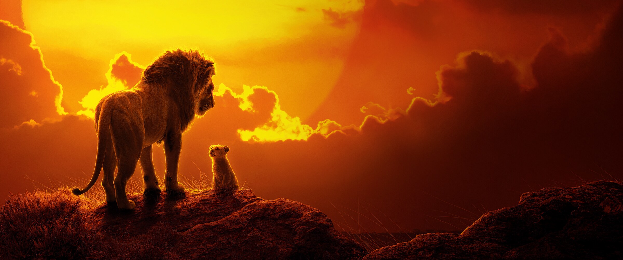 EMEA Banner - Disney's The Lion King (2019) - Showcase Hero - Mufasa and Simba Orange Sky