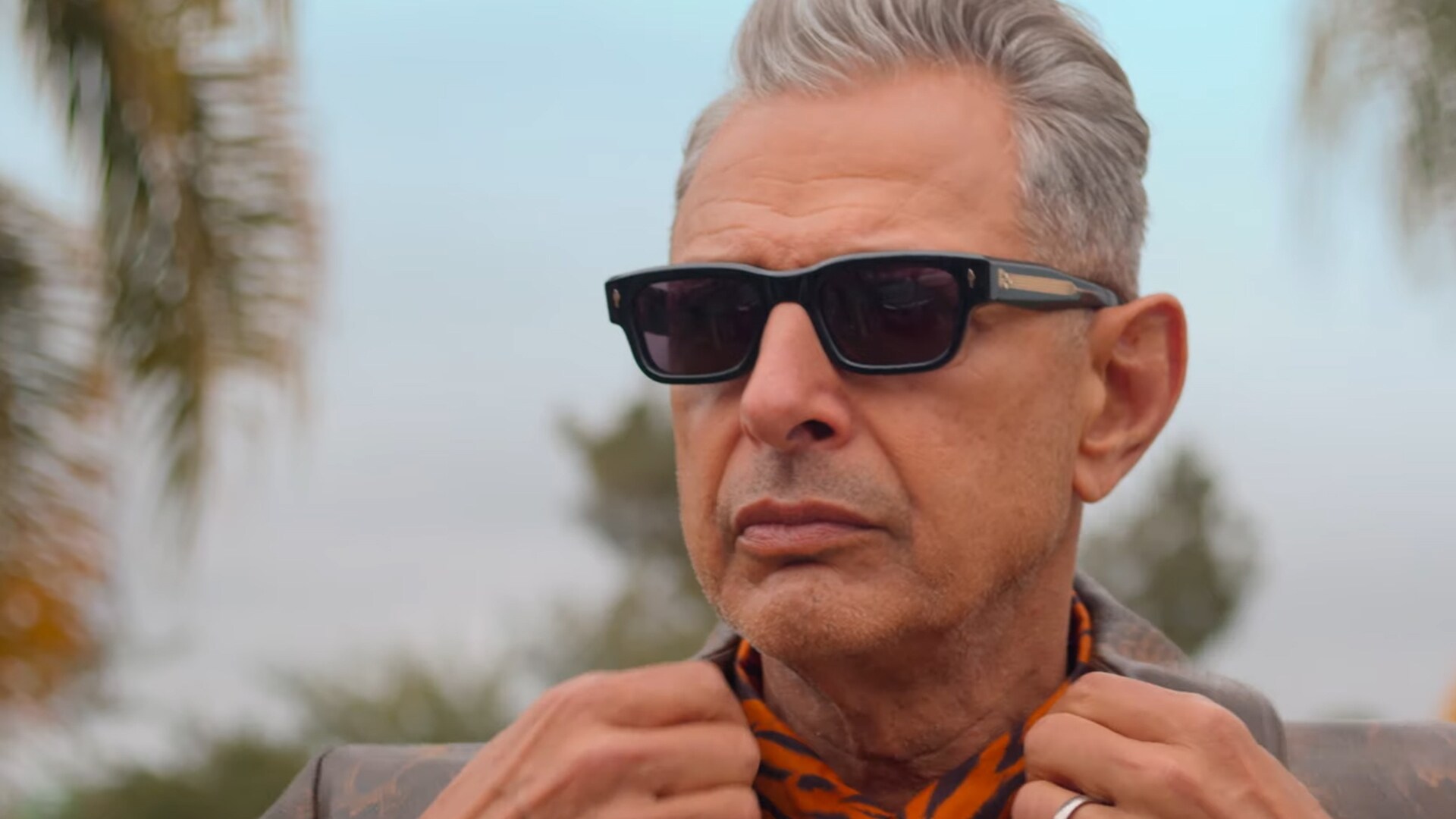 Close-up of Jeff Goldblum wearing sunglasses from The World According to Jeff Goldblum Season 2.