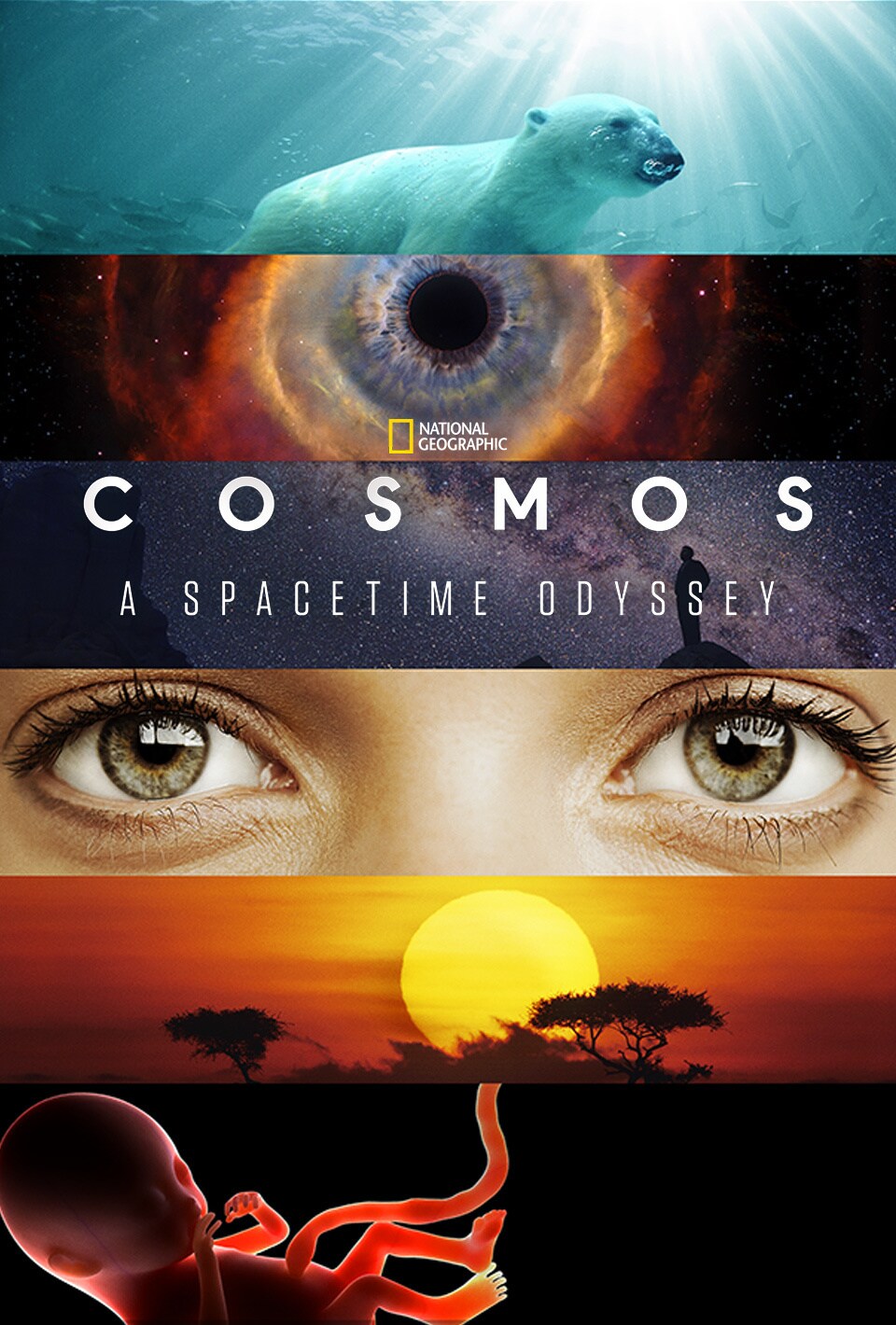 Cosmos: A Spacetime Odyssey poster