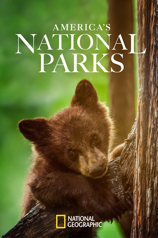 America's National Parks poster art (2022).