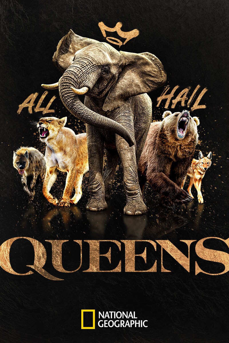 Marketing poster for Queens from National Geographic, streaming on Disney+.
