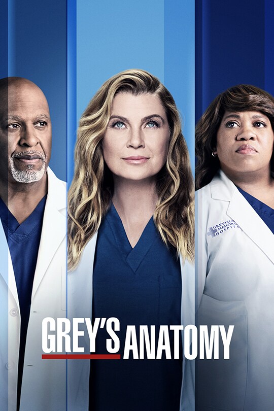 Grey's Anatomy series poster featuring Ellen Pompeo, Chandra Wilson and James Pickens Jr.