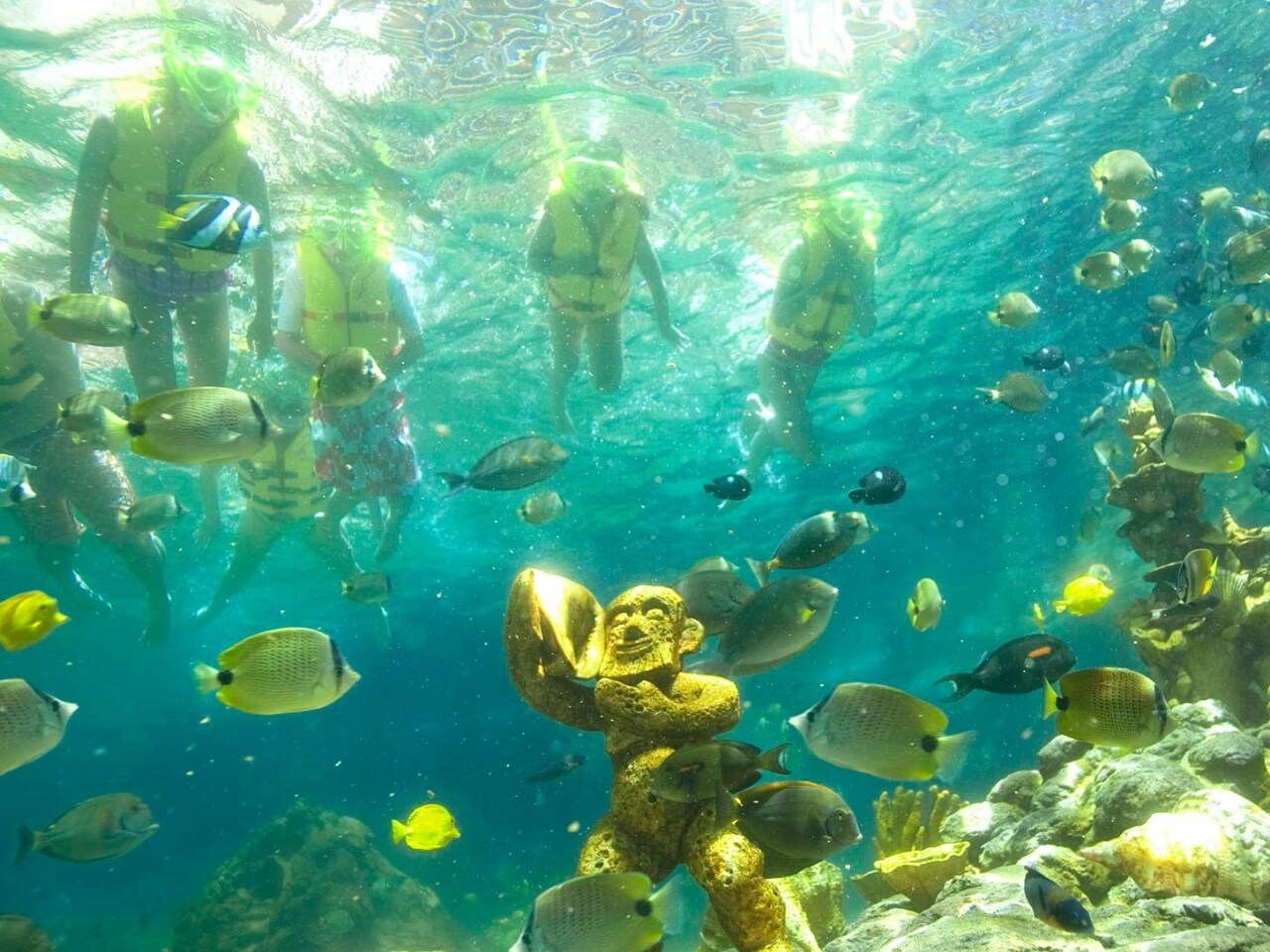 ディズニー　バケーションクラブ　アウラニ　ハワイ　アート　絵　インテリア　新品 アウラニ・ディズニー・バケーション・クラブ・ヴィラ｜ディズニー