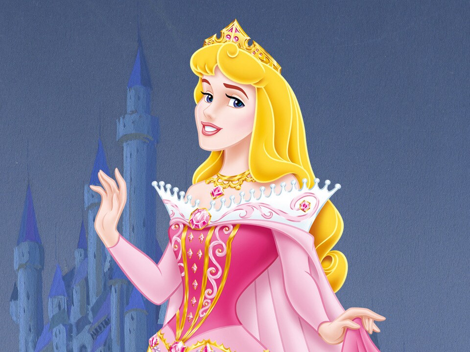 ディズニープリンセス Disney Princess (ディズニー プリンセス