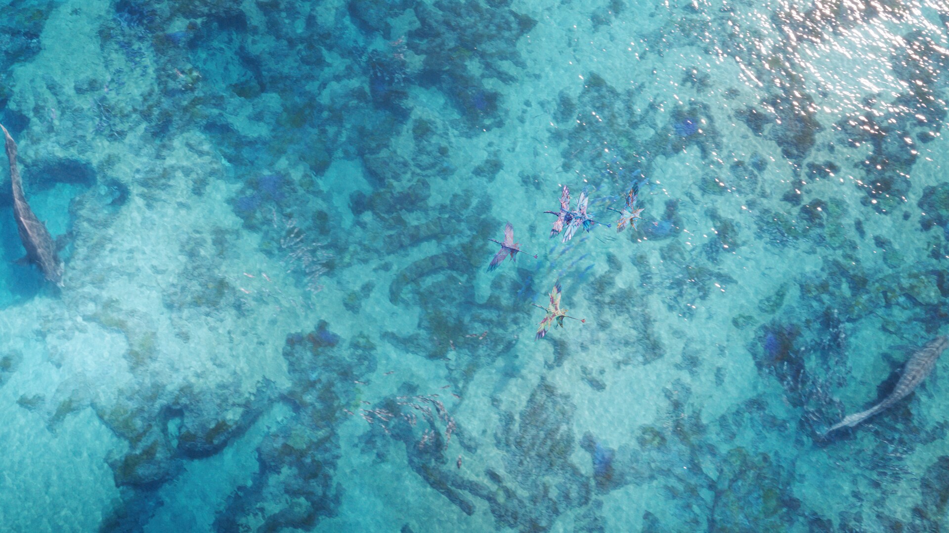 Several Na'vi riding banshees over a body of water with two large creatures visible underwater. From the movie, "Avatar: The Way of Water."
