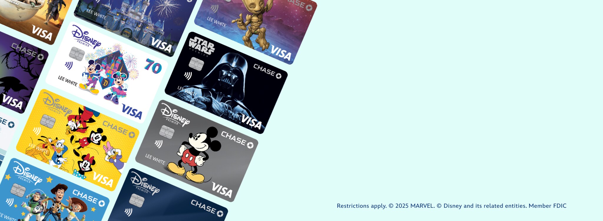 Hero - Visa Banner Spring 2025 Offer