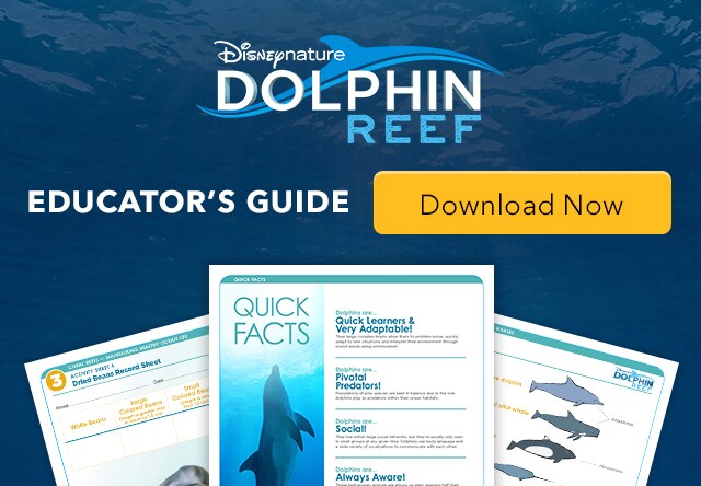 TÉLÉCHARGER DISNEYNATURE BLUE GRATUIT DISNEYNATURE GRATUIT TÉLÉCHARGER BLUE