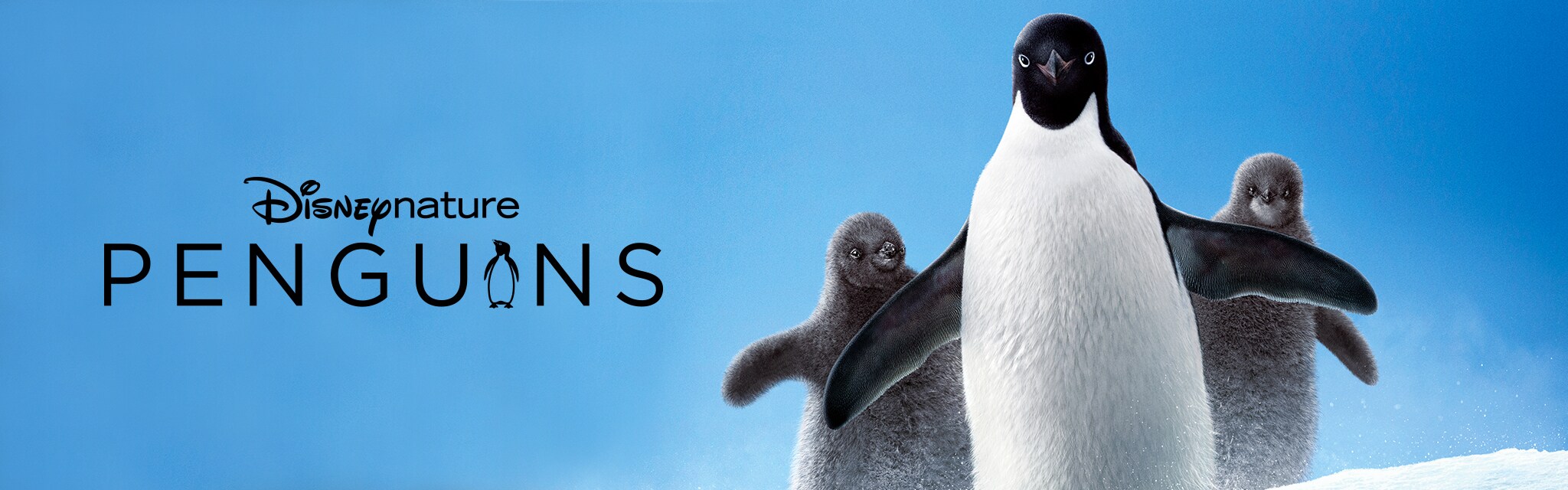 Disneynature Penguins