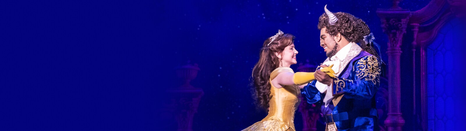 Hero (Slim) - Movies - Beauty and The Beast: The Musical On Tour