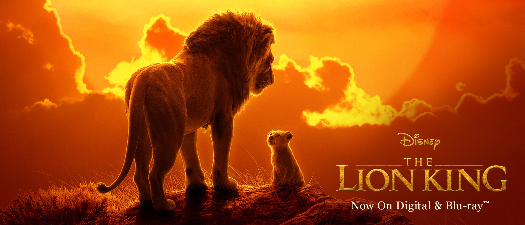 The Lion King (2019) | Disney Best Movies