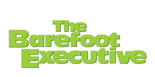 The Barefoot Executive