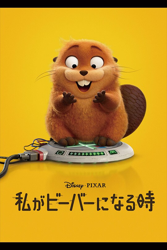 私がビーバーになる時