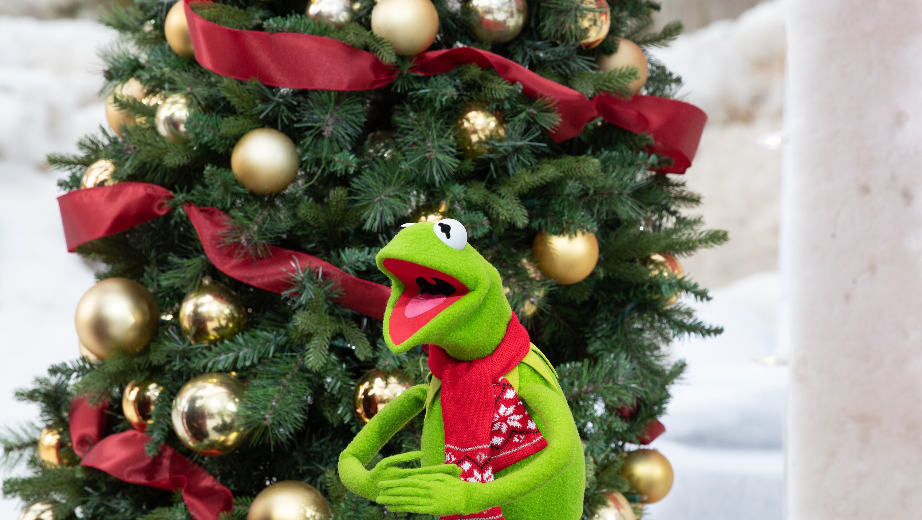 BEST IN SNOW. Kermit the Frog. (Disney/Todd Wawrychuk)