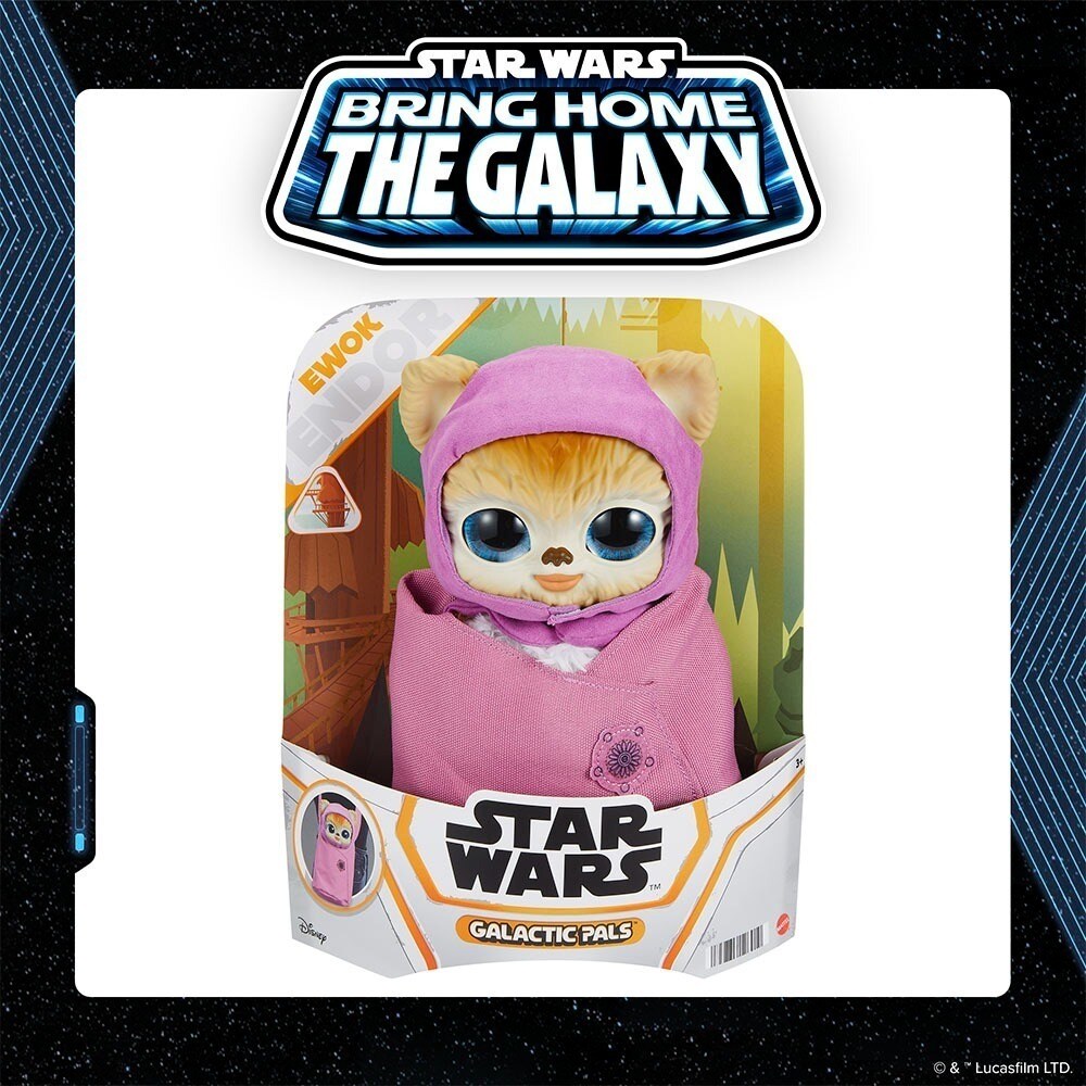 Star Wars Galactic Pals Ewok (Female) by Hasbro