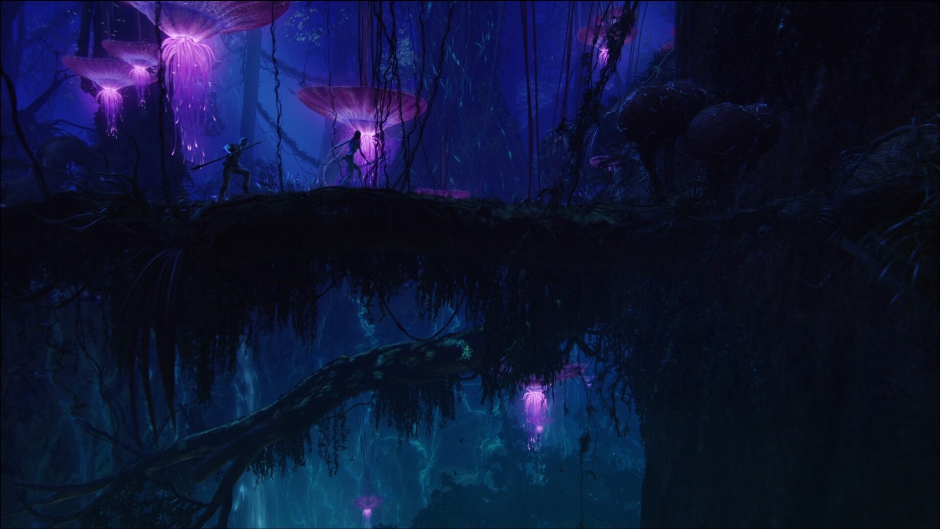 Avatar Zoom Background |  Bioluminescent Panopyra