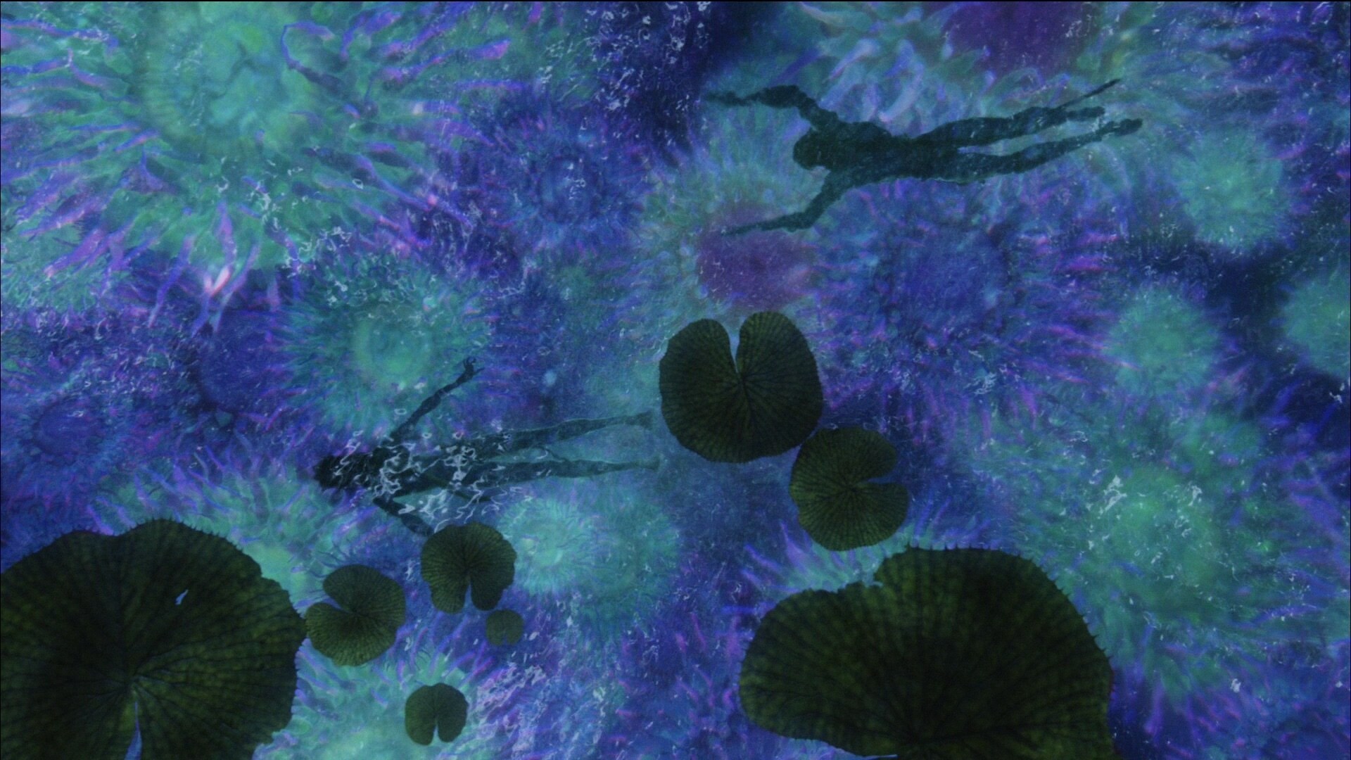 Avatar Zoom Background |  Bioluminescent River