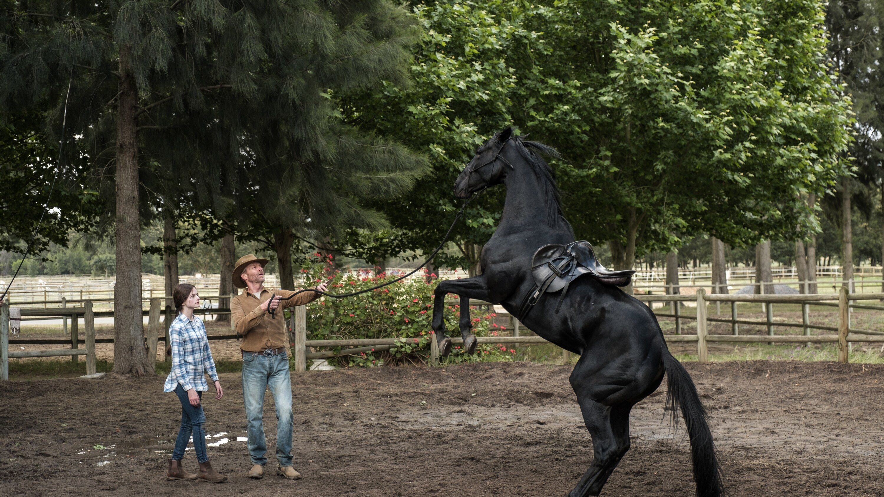BLACK BEAUTY - A wild horse and a teenage girl forge an unbreakable bond which keeps them connected for a lifetime. (Disney/Graham Bartholomew) MACKENZIE FOY, IAIN GLEN, BLACK BEAUTY