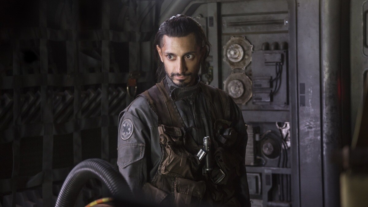 Bodhi Rook