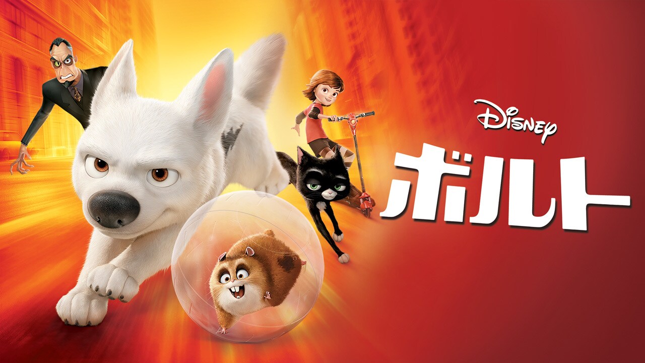 ディズニーストア ボルト BOLT 犬 ぬいぐるみ キャラクター フィ hA79