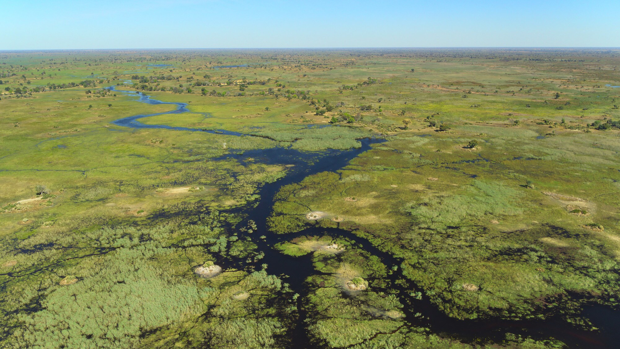 Okavango Delta. (National Geographic for Disney+/Bertie Gregory)