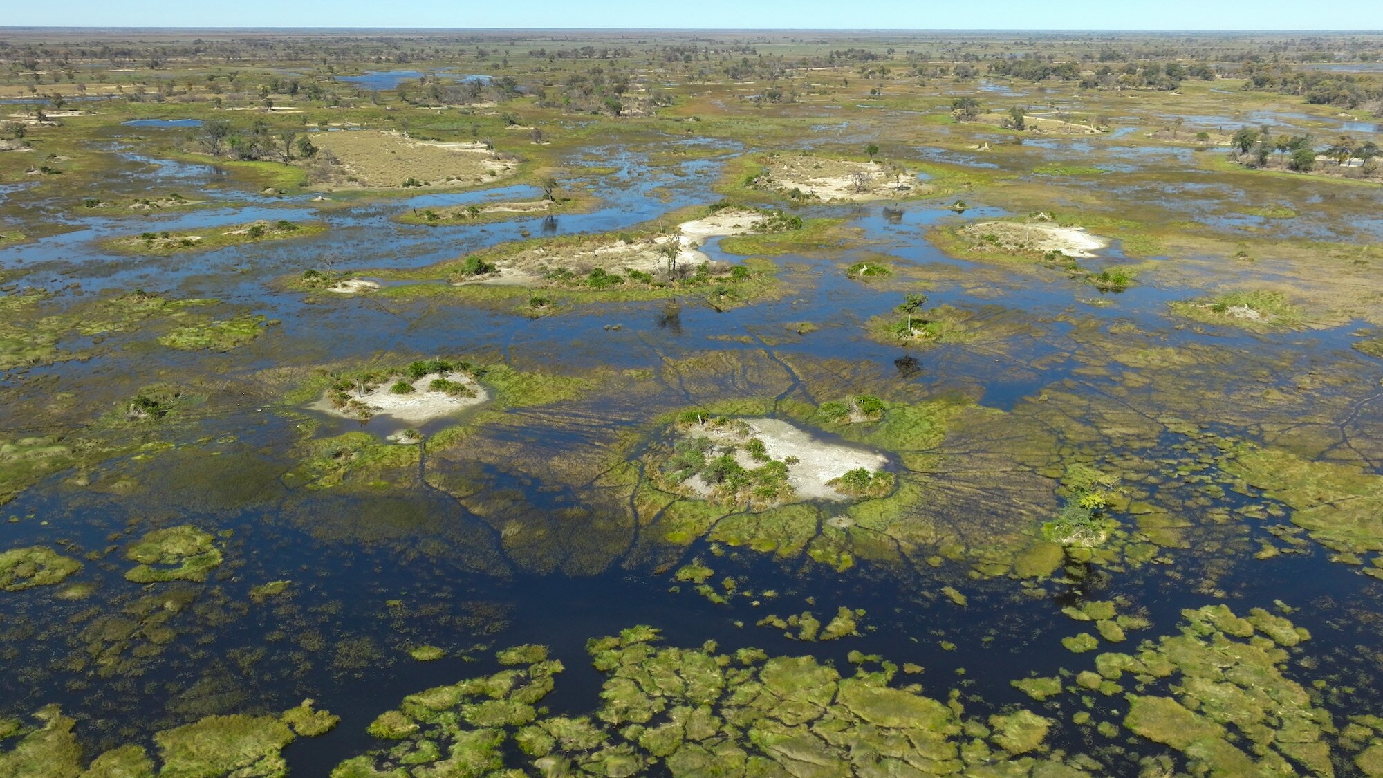 Flooded plains of Okavango Delta. (National Geographic for Disney+/Bertie Gregory)