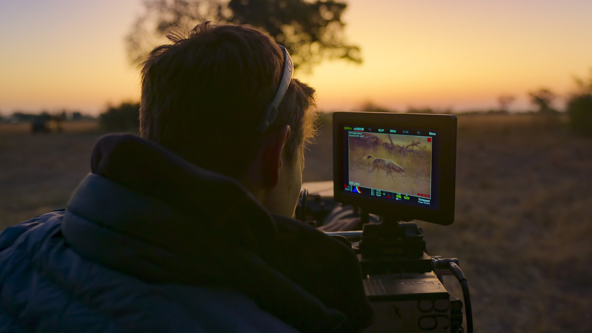 Dusky shot off Bertie Gregory viewing a dog on the monitor. (National Geographic for Disney+/Spencer Millsap)