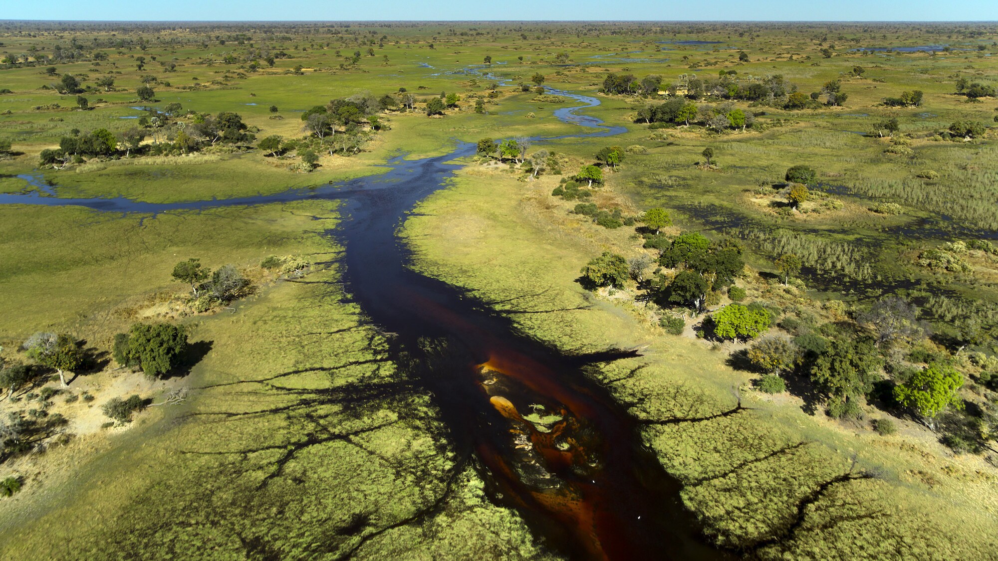 Aerial shot of Okavango delta, rivers and grasslands. (National Geographic for Disney+/Bertie Gregory)