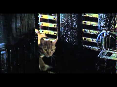 Image of a cat on the ship in the movie Alien