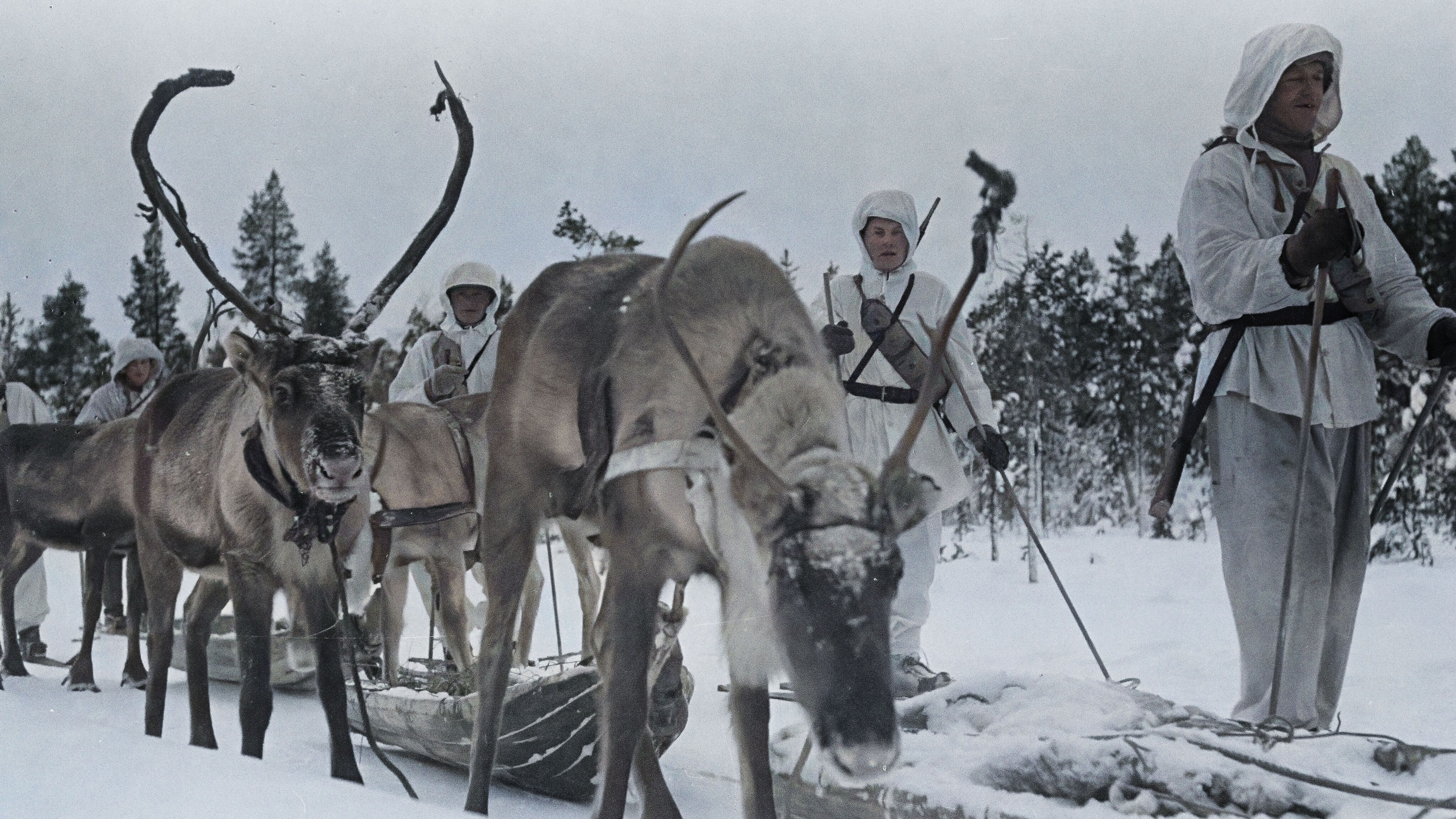 Zimne oblicze wielkiej wojny. „II wojna światowa w Arktyce” na kanale National Geographic