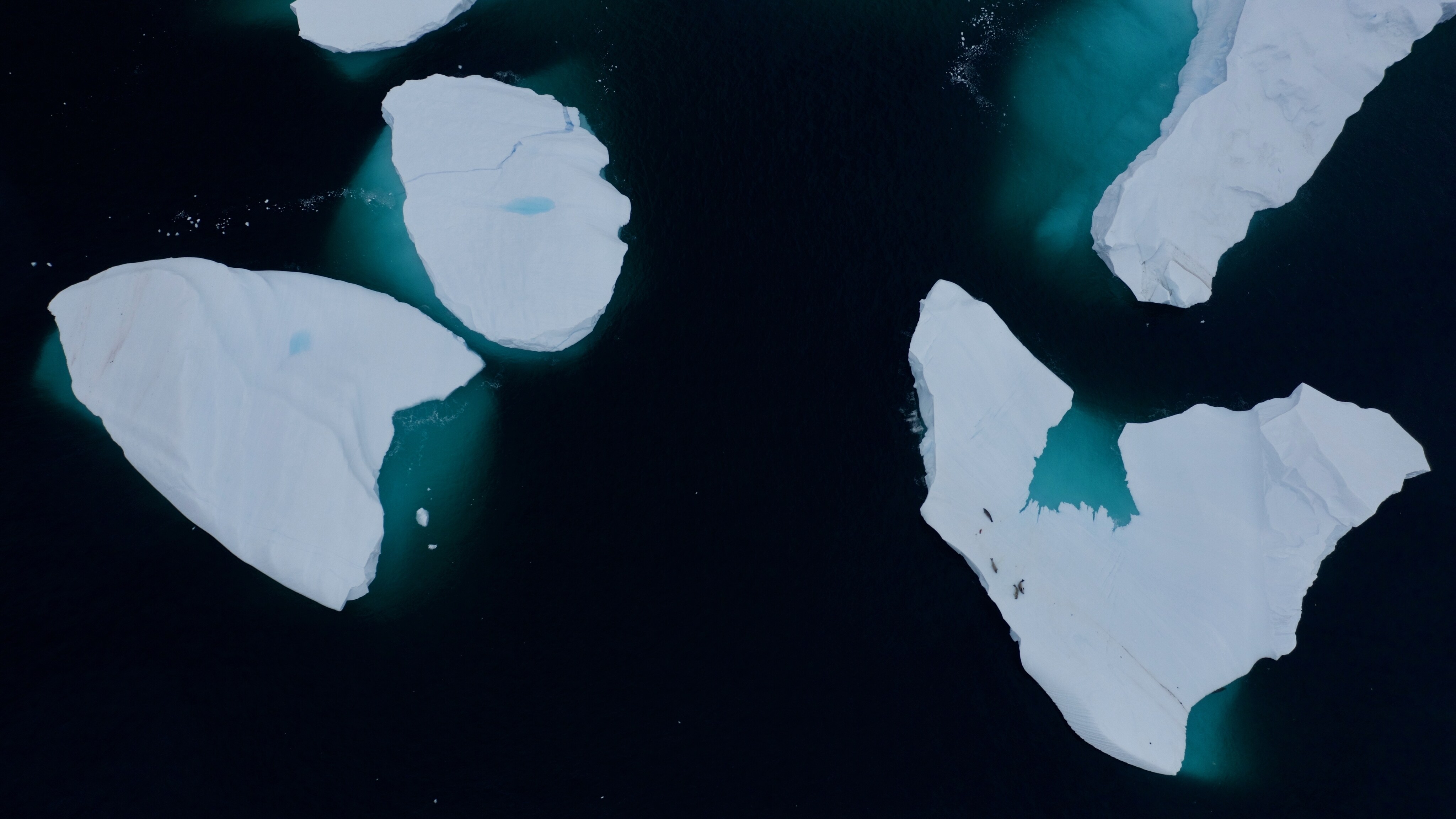 Antarctic sea ice. (National Geographic for Disney+/Hayes Baxley)