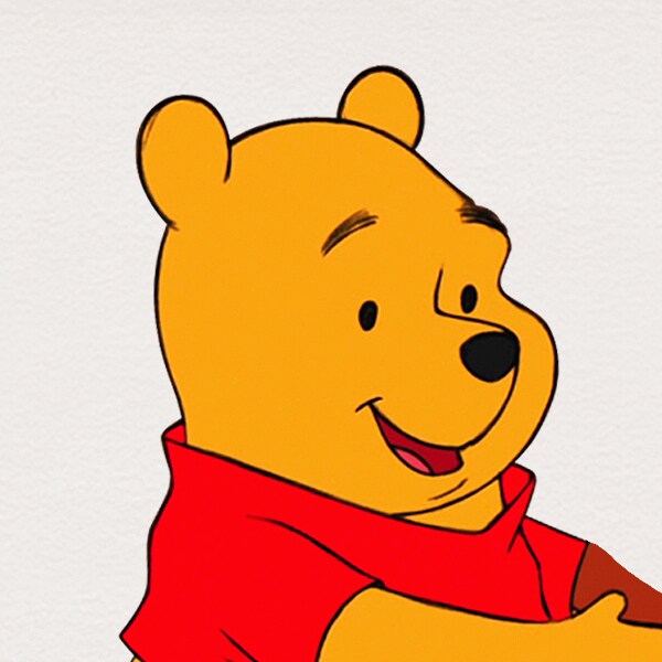 Winnie Pooh & Pals Disney