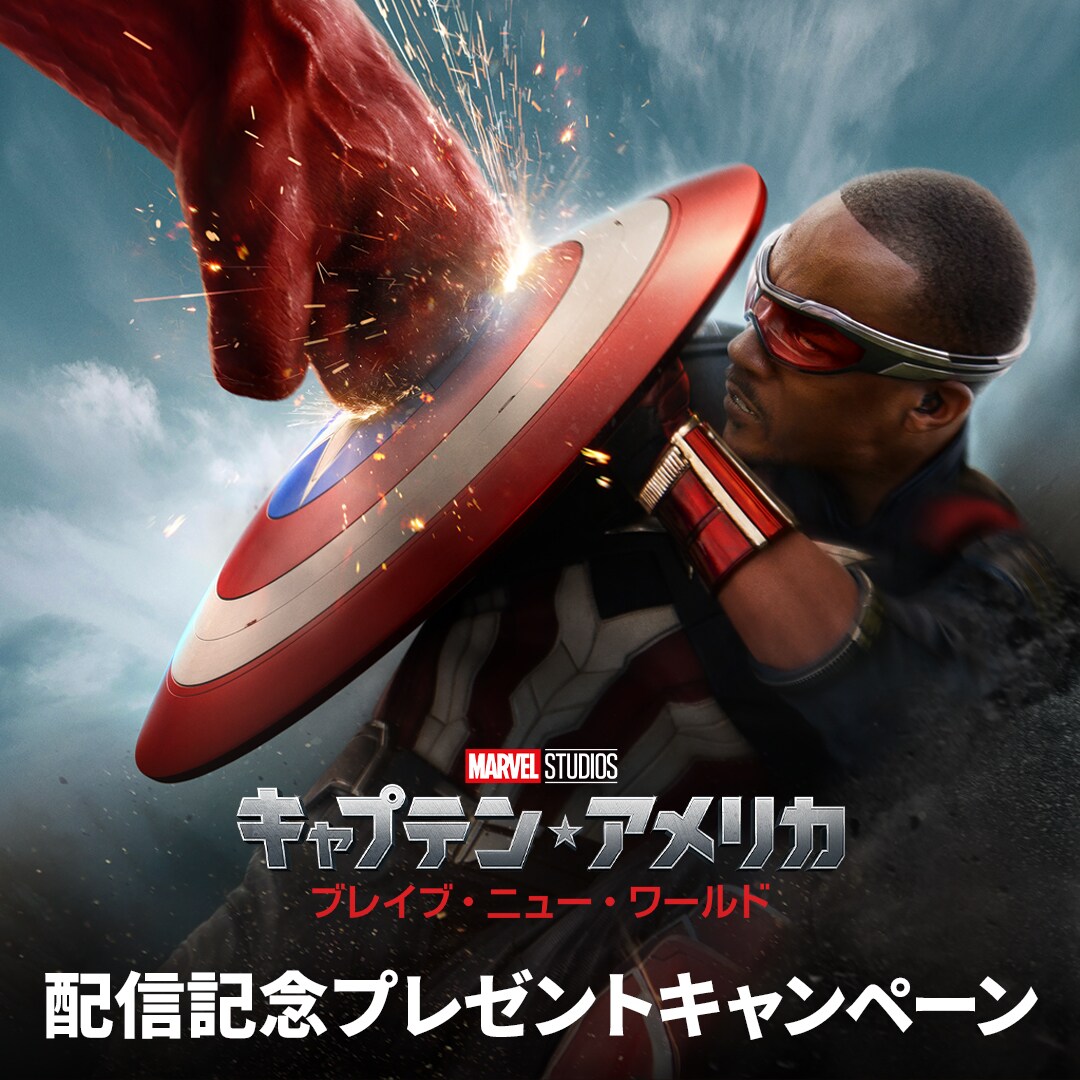 24日までなべなべさま専用ディズニー限定キャプテンアメリカ