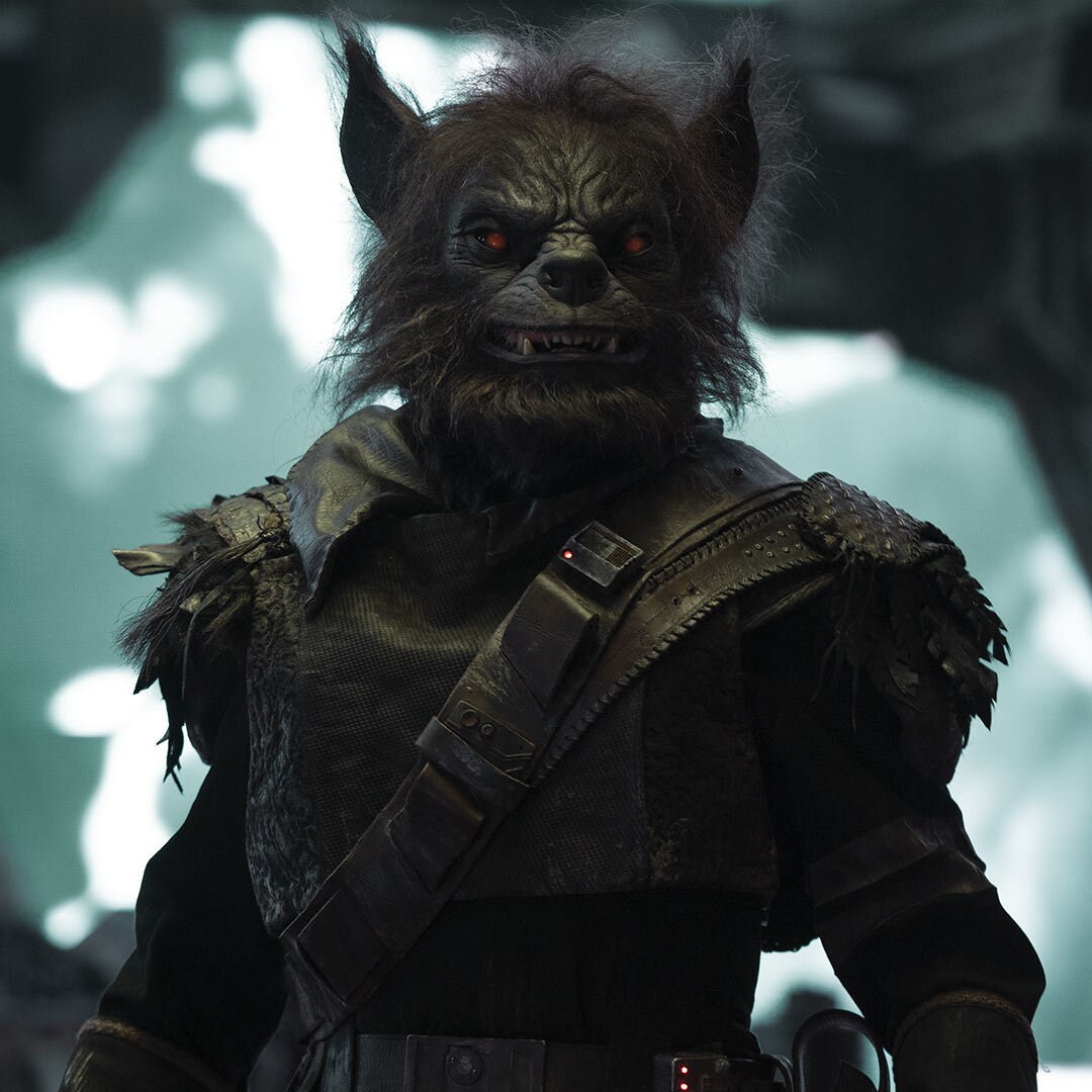 Pirate Captain Brutus