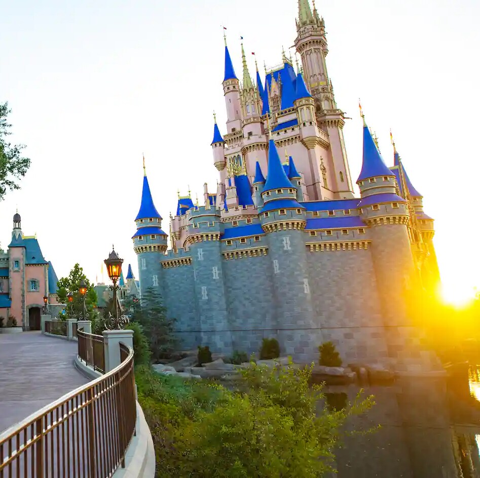 Las 3 curiosidades sobre el castillo de Cenicienta en Magic Kingdom | Disney  Latino