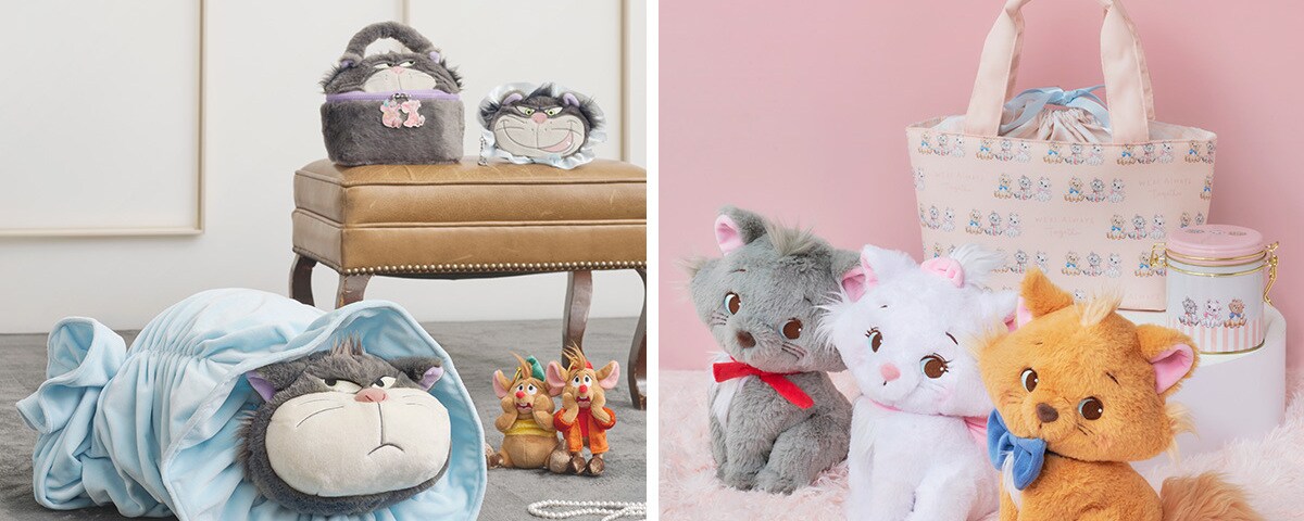 catday_1200x677_87f2614d.jpeg?