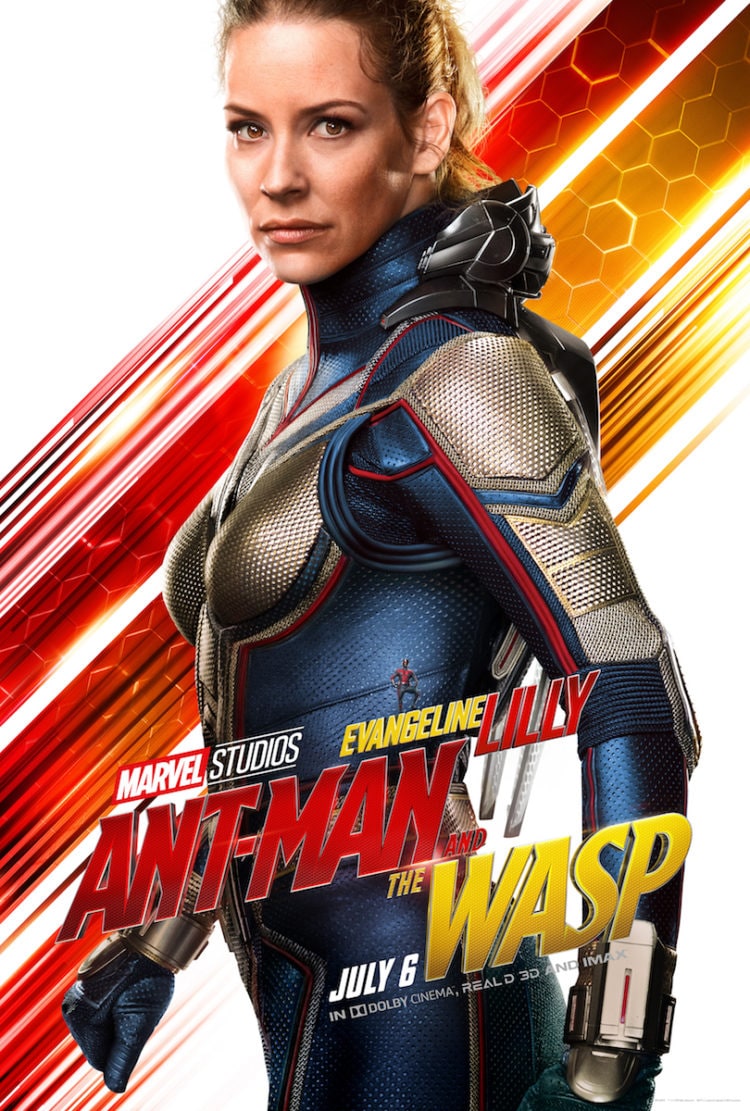 Ant-Man and the Wasp (#6 of 18): Extra Large Movie Poster Image