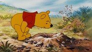 Pooh and Gopher
