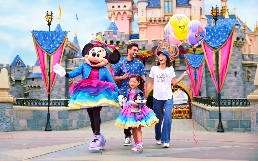 大きな取引 cg_disneystore_dlr70thcollecti その他